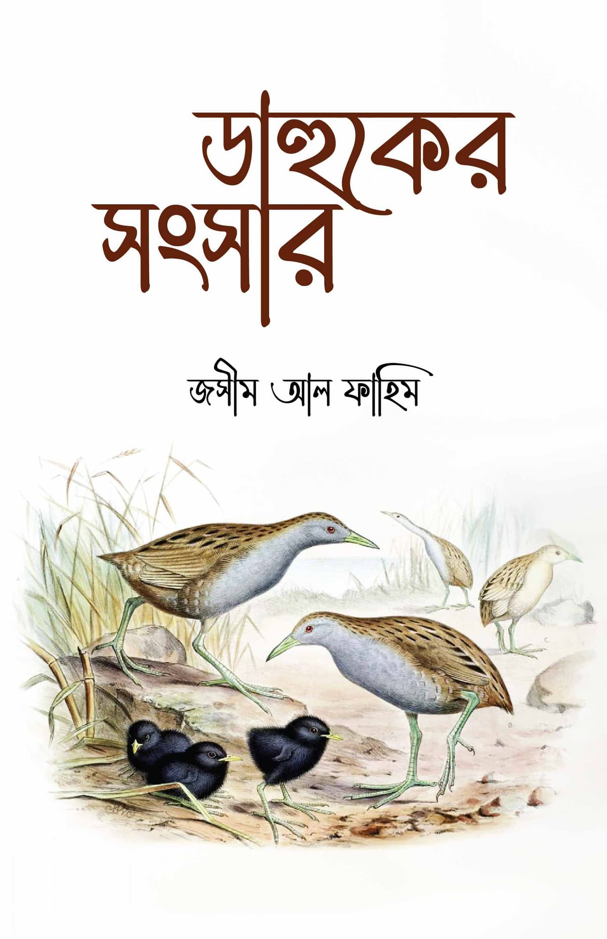 ডাহুকের সংসার - জসীম আল ফাহিম বইয়ের প্রচ্ছদ